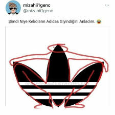 Duru Ayse Adli Kullanicinin Pohkskjxkd Panosundaki Pin 2020 Komik Seyler Gulunc Resimler Komik Capsler