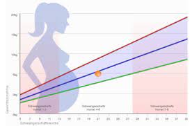Die gewichtszunahme in der schwangerschaft ist von frau zu frau sehr unterschiedlich und hängt auch vom ausgangsgewicht ab. Liegt Meine Gewichtszunahme In Der Schwangerschaft Im Grunen Bereich Babycare Blog