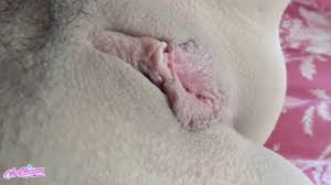 Baiser Par Un Cheval Elle Jouit Fort Sur Sa Queue Lors Dun Gros Creampie -  Xchica.com