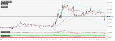 Bitcoin Gold Price Analysis Btg Usd Shows Strong Rebound