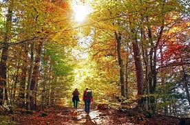 Maybe you would like to learn more about one of these? Five Ways Hiking Is Good For You