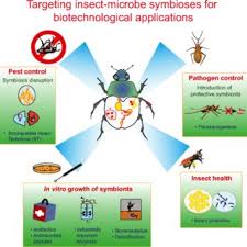 But knowledge is power when it comes to critters, says dr. Pdf Potential Applications Of Insect Symbionts In Biotechnology