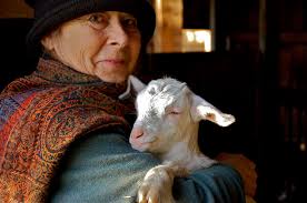 Laughing Dog Farm at a...