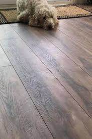Keeping up with claw trimming). 20 Pets Their Mannington Floors Ideas Cats Meow Pets Flooring
