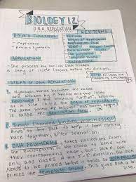 Cute Note Ideas Dna Drawing Dna Replication Cute Notes