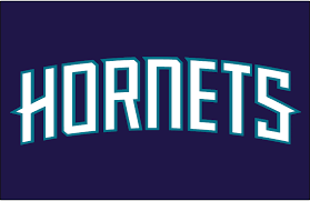 A basketball pattern is above the stinger. Hornets Jersey Logo Pasteurinstituteindia Com