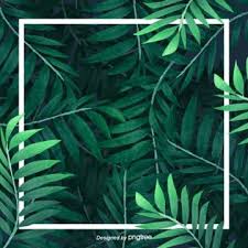 Every item on this page was chosen by a town & country editor. Palm Leaves Png Images Vector And Psd Files Free Download On Pngtree