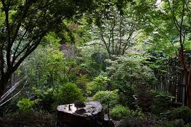 By fleur de lis living. Garden Visit At Home With Canada S Favorite Garden Writer Gardenista