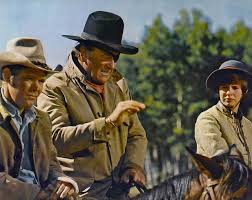 True grit is a 1969 american western film starring john wayne as u.s. Der Marshal 1969 True Grit 2010 Us Filme Tv Kult Com