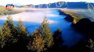 Check spelling or type a new query. Transcit Com Travel Antar Jemput Paket Rental Mobil Sewa Motor Tours Travel Aman Dan Terpercaya Artikel