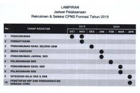 Seleksi penerimaan cpns kementerian kesehatan tahun 2019 sama sekali tidak dipungut biaya. Jadwal Lengkap Seleksi Penetapan Cpns 2019 Berdasarkan Kemenpan Rb Halaman All Kompas Com