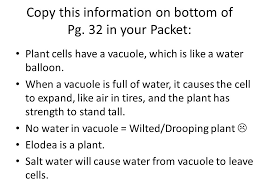 Golgi apparatus is a stack of flat membrane enclosed sacs. Biology 1 Packet Ii Lab Plasmolysis In Plant Cells Ppt Download