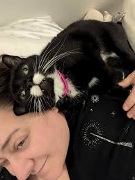 Humorous cat photo in a cat group