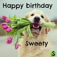Pin Di Rita Su Ricorrenze Buon Compleanno Cane Buon Compleanno Auguri Di Buon Compleanno