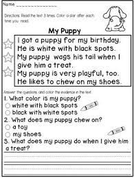 First Grade Reading Comprehension Passages And Questions First Grade Reading Comprehension Reading Comprehension Passages Fluency Passages