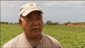 Drug Court participants earn money, gain self-esteem working at Mililani  farm