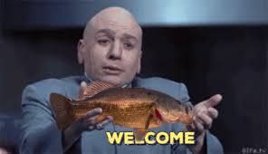 Let's welcome our new members! Craig Schoenecker, Jimmy To, Jared Michael  Williams, Jeff Hilke, Erik Nelson, Joseph Bodoh, David Locander, Bill Gamm,  Bill Horvat, JT Babin, David Miles, Jordan Schermer, CJ Szuter,