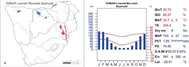 Image result for Hermbstaedtia scabra