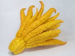 Unusual fruits from around the world. Unique Fruits Interesting Fruits From Around The World