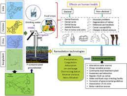 Fluoride Contamination Health Problems And Remediation Methods In Asian Groundwater A Comprehensive Review Sciencedirect