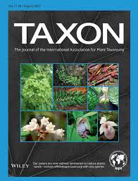 Image result for Marsdenia sylvestris