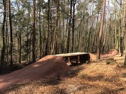 Bikepark Beerfelden Streckenbauer Tom Teutsch Im Interview