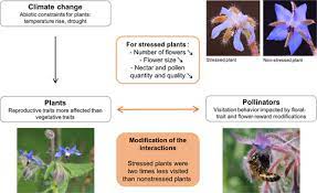 Component or factors of an ecosystem. Temperature And Water Stress Affect Plant Pollinator Interactions In Borago Officinalis Boraginaceae Descamps 2018 Ecology And Evolution Wiley Online Library