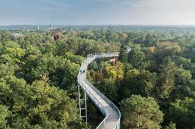 Die pnn durften schon einmal exklusiv in 25 metern höhe über baumkronen und hausdächer wandeln. Baumkronenpfad Baum Und Zeit In Beelitz Heilstatten Tmb Tourismus Marketing Brandenburg Gmbh