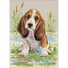 We did not find results for: Riolis Diamond Mosaic Embroidery Kit Basset Hound Crochet Dog Patterns Crochet Dog Cross Stitch