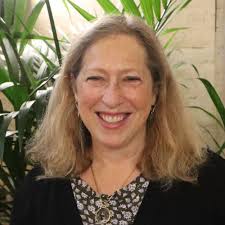 Professor Damien Short