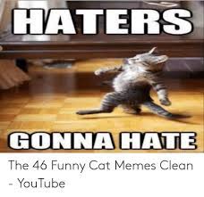 Since doggo memes got 1k views, let's try for that again! Haters Gonna Hate The 46 Funny Cat Memes Clean Youtube Funny Meme On Me Me