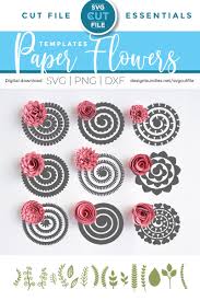Includes 3 different dinosaur designs. Pin On Adorable Cricut Ideas