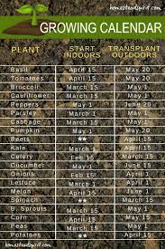 Growing Calendar For Starting Seeds Indoors And Transplanting Outdoors Home Vegetable Garden Growing Calendar Starting Seeds Indoors