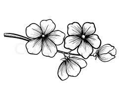 Watercolor summer blooming white magnolia flower. Branch Of A Blossoming Tree In Graphic Stock Vector Colourbox