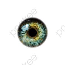 Eyeballs Eye Drawing Iris Painting Eye Art