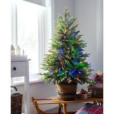 Hang lights on your eavestrough, railing or trees to brighten up the look of your outdoor space. Pre Lit Potted Pine Christmas Tree With 100 Dual Led Lights Warm Whit We R Christmas