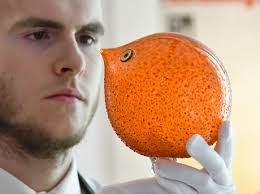 Left Erich Hermes Linverno Svizzera Estimate Editorial Stock Photo