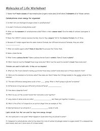 Organic molecules have four common characteristics. Molecules Of Life Worksheet