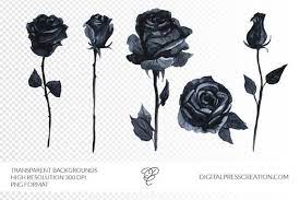 Yellow rose tattoo on arm for girls in sleeve type. Black Roses Watercolor Clipart Gothic Romance Clip Art Etsy Black And Grey Rose Tattoo Black Rose Tattoo For Men Single Rose Tattoos