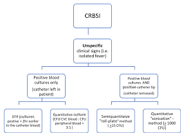 Other aspects of crbsi are presented elsewhere. The Diagnosis Of Catheter Related Blood Stream Infection Crbsi Can Be Download Scientific Diagram