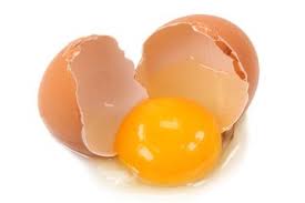 Setelah spersiapan telur ayam yang akan ditetaskan dan juga mesin telur sudah siap maka tahap selanjutnya yaitu memasukkan mtelur kedalam jadi setelah anak ayam menetas dan dikeluarkan dari mesin, sebaiknya jangan beri makan atau minum terlebih dahulu dan pindahkan pada incubator. 100 Gambar Ayam Menetas Terlihat Keren Gambar Pixabay