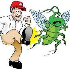 Kilguard™ is a system/process designed to control both types of termite infestations common to california, drywood termites and the subterranean termite species. Elshaddai Pest Control Service Amraiwadi Residential Pest Control Services In Ahmedabad Justdial