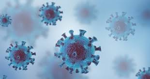 Influenza a virus subtype h10n3 is a subtype of viruses that causes influenza (flu). D R0rp8pbvrg9m