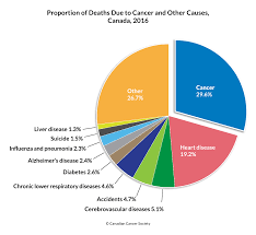 Cancer Statistics At A Glance Canadian Cancer Society