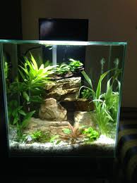 Best Aquascaping Freshwater 084 Fresh Water Fish Tank Tropical Fish Tanks Fish Tank Design