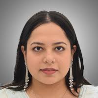 Council and Committees