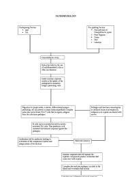 Antecedent infections are thought to trigger an immune response, which subsequently cross reacts with nerves leading to demyelination or axonal degeneration. Guillain Barre Syndrome Pathophysiology
