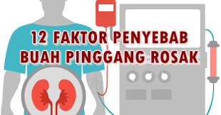 Artikel ini akan membincangkan simptom dan punca. Ketahui 12 Penyebab Rosaknya Buah Pinggang Anda Bonda Miza Pengedar Leader Shaklee Terbaik Malaysia