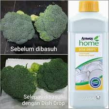 The health benefits of aloe vera. Jenis Jenis Sabun Khas Untuk Cuci Sayur Dengan Selamat Bukan Sahaja Cegah Racun Sayur Pun Lebih Segar Joquz