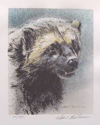 Robert Bateman Wolverine Wolverine Animal Animal Art Wildlife Artists